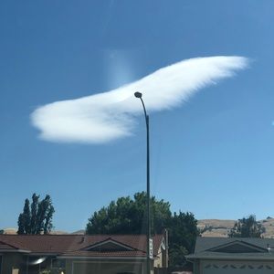 Meet your Posher, Vien